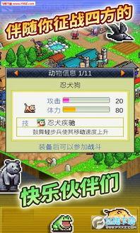 忍者村最新爆料,最新爆料揭示神秘忍者世界